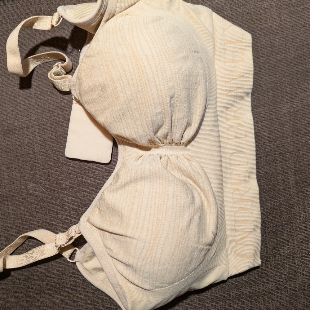 Kindred Bravely Pumping/Nursing Bra